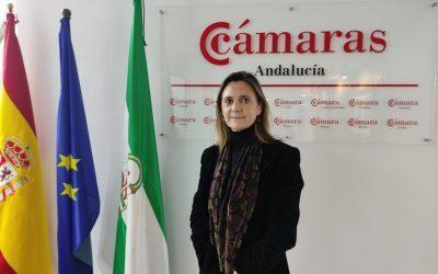 Mercedes León, nueva directora-gerente del Consejo Andaluz de Cámaras de Comercio