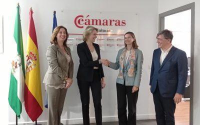 El Consejo Andaluz de Cámaras renueva su colaboración con Carmila para impulsar el comercio en la región