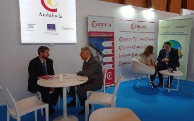 Cámaras Andalucía contacta con una treintena de empresas para impulsar su internacionalización en ‘Extenda Global 2022’