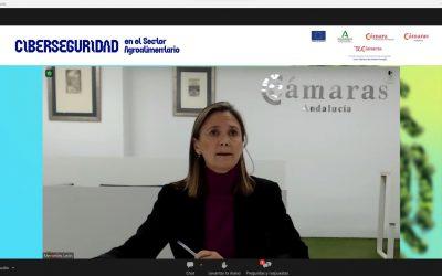 Más de un centenar de empresa agroalimentarias mejoran su ciberseguridad en un foro organizado por Cámaras Andalucía y Junta